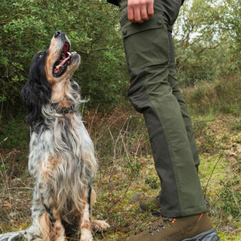 Chiruca Silvano Pro 11