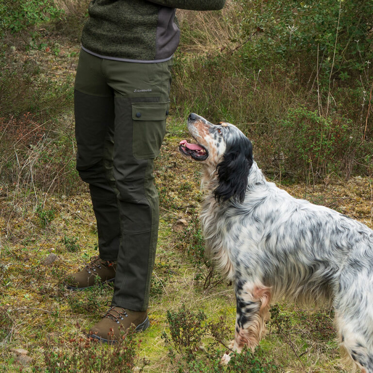 Chiruca Silvano Pro 11