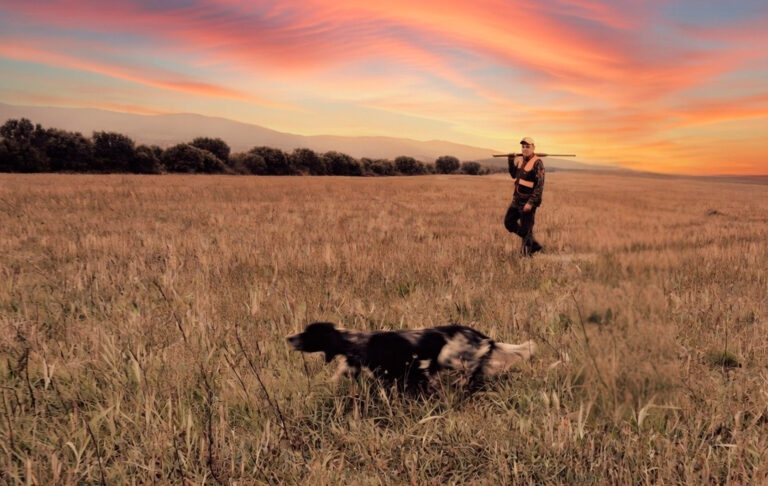 Chasse nocturne : réglementation, sécurité et éthique (ce que vous devez savoir avant de partir)