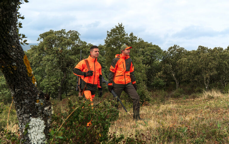 Check-list juridique du chasseur : documents, permis, assurances et transport sans erreur